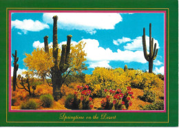 SPRINGTIME IN THE DESERT, ARIZONA, UNITED STATES. UNUSED POSTCARD   Zf4 - Cactussen