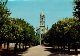 VILA NOVA DE TAZEM - Avenida Dr. Joaquim Borges E Igreja Matriz - PORTUGAL - Viseu