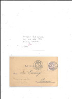 HONGRIE N° 24A OU 24B OBL SUR CARTE LETTRE 1895 - Marcofilie