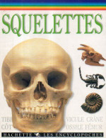 Jeunesse : Squelettes Par Taylor - Hachette