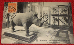 TERVUREN - TERVUEREN - 3 CARTES :- Le Rhinocéros Blanc - La Salle Des Mammifères - Un Coin De La Galerie Latérale - Tervuren