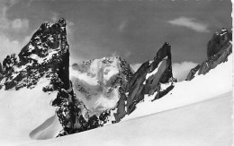 L'Aiguille Du Chardonnet Vue Du Pied De La Purtscheller Cachet Cabane Du Trient - Trient