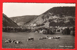 ZWW-02  Fleurier Troupeau De Vaches Au Champ.  Circ. 1942, Timbre Manque. Photoglob 10707 - Fleurier