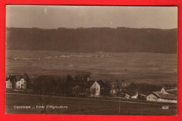 ZWW-11 Cernier  Ecole D'Agriculture   Sepia.  Perrochet-matile 8599.. NC - Cernier