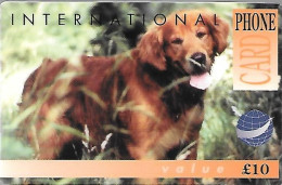 CARTE-PREPAYEE-GB-10£-CHIEN SETTER IRLANDAIS ROUX-Plastic Epais-R° Glacé--TBE - Dogs