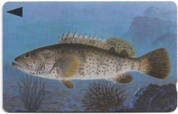 Bahrain - Batelco (GPT) - Fish Of Bahrain - Grouper - 41BAHN (Normal 0), 1996, Used - Bahreïn