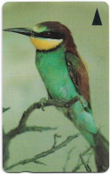 Bahrain - Batelco (GPT) - Bahrain Birds - Merops Apiaster - 46BAHE - 1998, Used - Bahreïn