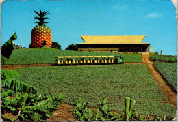 12-9-2023 (4 T 51) Australia - QLD - Big Pineapple (with Mini Train) - Autres & Non Classés