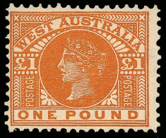 * Australia / Western Australia - Lot No. 192 - Nuovi