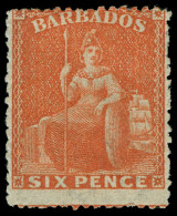 * Barbados - Lot No. 244 - Barbados (...-1966)