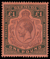 * Bermuda - Lot No. 296 - Bermudas