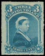 * Canada / Newfoundland - Lot No. 381 - 1865-1902