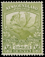 * Canada / Newfoundland - Lot No. 389 - 1908-1947