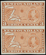 * Canada / Newfoundland - Lot No. 395 - 1908-1947