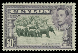 ** Ceylon - Lot No. 501 - Ceylon (...-1947)