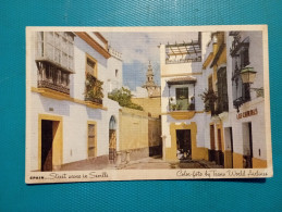 Cartolina Street Scene In Seville. Non Viaggiata - Sevilla