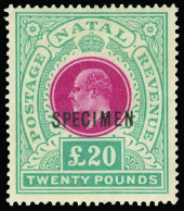 S Natal - Lot No. 1049 - Natal (1857-1909)