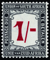 * South Africa - Lot No. 1549 - Postage Due