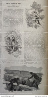 1895 PECHES ET MARAUDEURS DE PECHES Illustrations De M. MARTIN - LE MONDE ILLUSTRÉ - 1850 - 1899