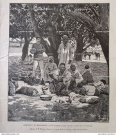 1895 EXPEDITION DE MADAGASCAR - LES MULETIERS ARABES - TÉLÉGRAPHE DE CAMPAGNE - RIVIÉRE DE MAROVAY - LE MONDE ILLUSTRÉ - 1850 - 1899