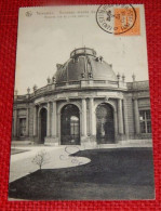 TERVUREN - TERVUEREN - Nouveau Musée Du Congo -  Rotonde, Vue Du Jardin Extérieur  -  1912 - Tervuren