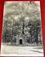 GREZ-DOICEAU   -  Un Coin Du Bois De Beausart - Graven