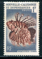 NOUVELLE CALEDONIE- Y&T N°291- Oblitéré (poissons) - Gebraucht