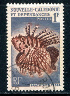 NOUVELLE CALEDONIE- Y&T N°291- Oblitéré (poissons) - Gebraucht