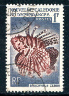 NOUVELLE CALEDONIE- Y&T N°291- Oblitéré (poissons) - Gebruikt