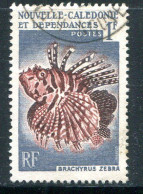 NOUVELLE CALEDONIE- Y&T N°291- Oblitéré (poissons) - Gebraucht