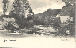 1900/05 - SEEBACH  Lunzer See, Lunz Am See , Gute Zustand, 2 Scan - Scheibbs