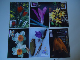 GREECE 5 MAXIMUM CARDS AND PROSPECTUS  FLOWERS PLANTS - Maximumkarten (MC)