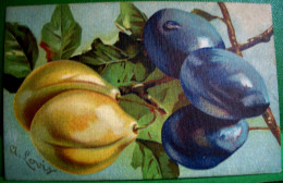 Cpa FRUITS Signée A.LOVIS ,PRUNES Sur BRANCHE   , PLUMS Artist Signed , OLD POSTCARD - Geneeskrachtige Planten