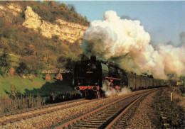 TRANSPORT - Schnellzug Dampflokomotive 01 204 - Carte Postale - Trains