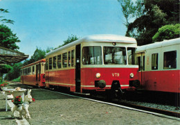 TRANSPORT - Chemin De Fer à Vapeur Des 3 Vallées Ligne Mariembourg Treignes - Carte Postale - Trains