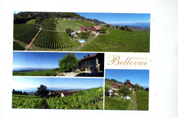 Carte Mont Sur Rolle Domaine Bellevue - Mont-sur-Rolle 