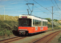 TRANSPORT - SNCV Tramway Côtier Knokke - Ostende - De Panne - Carte Postale - Tramways