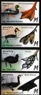 BELARUS, 2023, MNH, BIRDS, DUCKS, WATERFOWL, FEATURES OF WATERFOWL, 4v - Canards