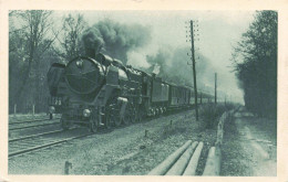TRANSPORT - Le Chemin De Fer Du Nord - Train Rapide "la Flèche D'Or" - Carte Postale Ancienne - Treinen