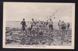 CP 50 SAINT MARTIN DE BREHAL La Pêche Aux Coques - Brehal