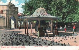 ARTS - Peintures Et Tableaux - Salut De Constantinople - Pigeons Au Cour D'Eyoub - Carte Postale Ancienne - Paintings