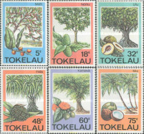 365758 MNH TOKELAU 1985 ARBOL Y SUS FRUTOS - Tokelau