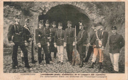 BELGIQUE - Luxembourg -  Les Différents Grades Et Uniformes De La Compagnie Des Volontaires - Carte Postale Ancienne - Autres & Non Classés