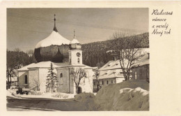 FETES ET VOEUX - Nouvel An -  Radostné Vánoce A Veselý Nový Rok - Carte Postale Ancienne - New Year