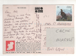 Timbre , Stamp Yvert N° 693 Sur CP , Carte , Postcard ( Oiseau Lagopède ) - Brieven En Documenten