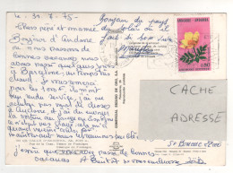 Timbre , Stamp Yvert N° 246 ( Fleur ) Sur CP , Carte , Postcard Du 01/08/75 - Briefe U. Dokumente