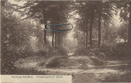 Heist Op Den Berg : Hoogbergbosch ( Zuid )   1913 Met Zegel - Heist-op-den-Berg