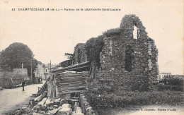 Champtoceaux           49       Ruines De La Léproserie  Saint Lazare  N°42     (voir Scan) - Champtoceaux