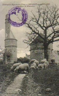 JUVIGNY SOUS ANDAINE.La Tour De Bonvouloir (chateau) - Juvigny Sous Andaine