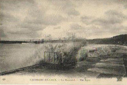 CAUDEBEC EN CAUX.Le Mascaret - Caudebec-lès-Elbeuf